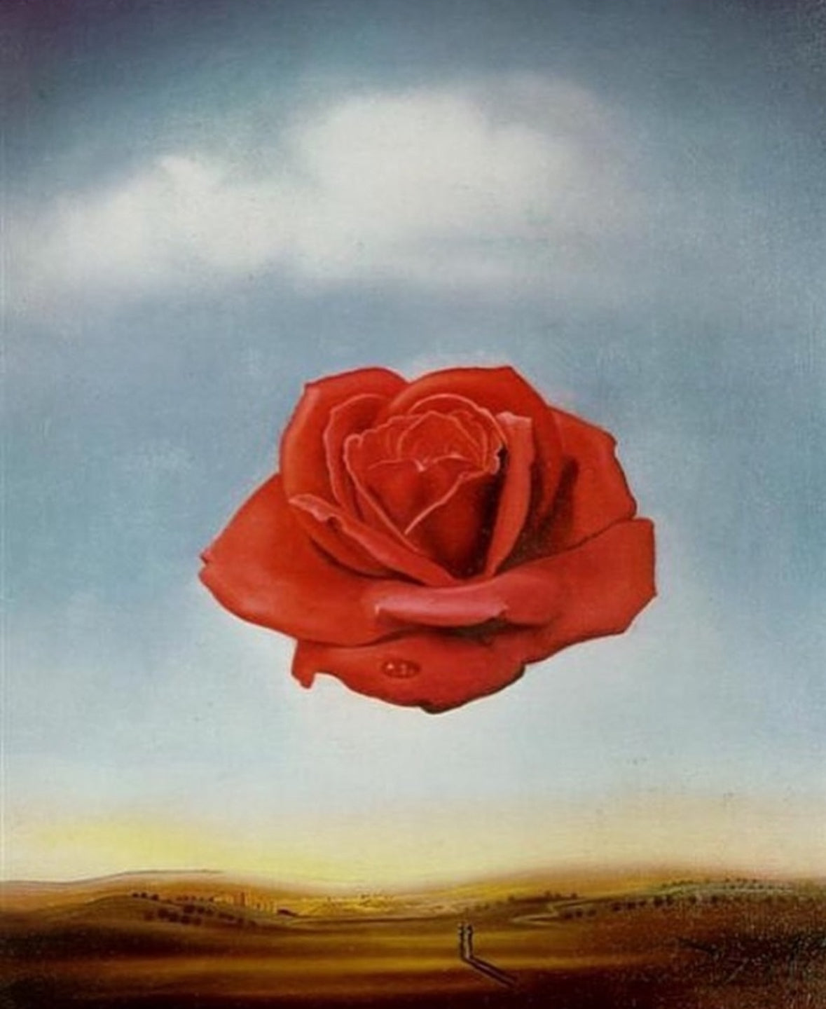 320MHz: The Frequency of Roses – Why Roses Are Healing and Their Rich ...